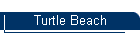 Turtle Beach